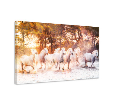 Paarden schilderij op canvas wilde paarden bij zonsondergang - TenStickers
