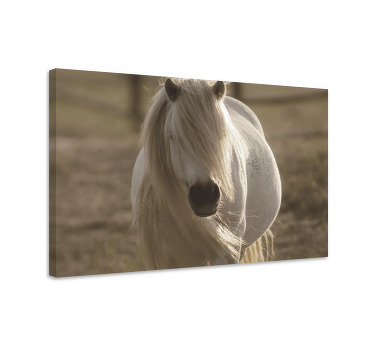 Paarden schilderij op canvas wit gezicht paard - TenStickers