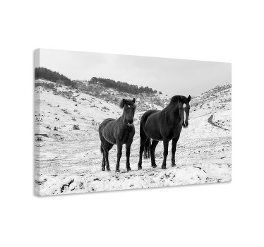 Paarden schilderij op canvas paarden in de sneeuw - TenStickers