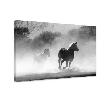 Paarden schilderij op canvas witte en zwarte paard - TenStickers