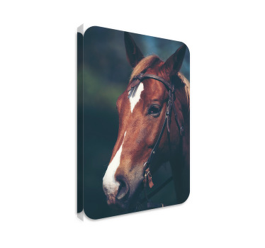 Paarden schilderij op canvas paardenhoofd - TenStickers