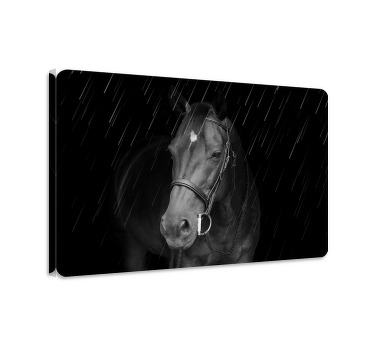 Paarden schilderij op canvas eervolle paard in de regen - TenStickers