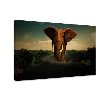 Canvas schilderij olifant olifant op de weg - TenStickers