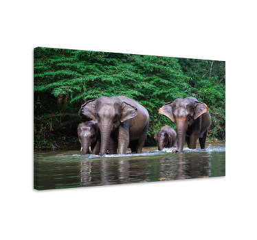 Canvas schilderij olifant jungle met dieren - TenStickers