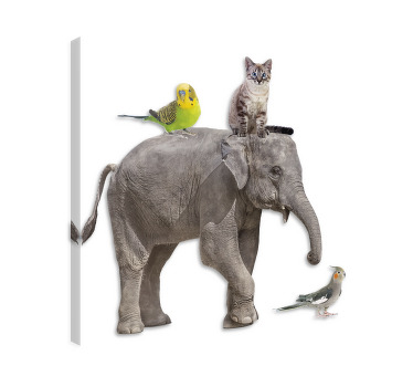 Canvas schilderij olifant en andere dieren - TenStickers