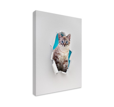 Cat wall art for your feline friend - TenStickers