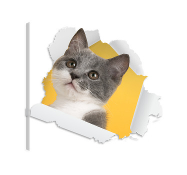 Cuadro de gatos sticker de gato 3d - TenVinilo