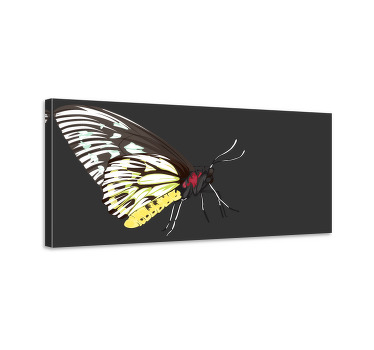 Obraz motýla v realistickém detailu žlutý - TenStickers