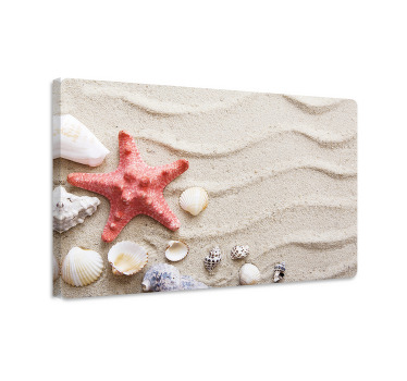 Wandbild fische seesterne und muscheln im sand - TenStickers