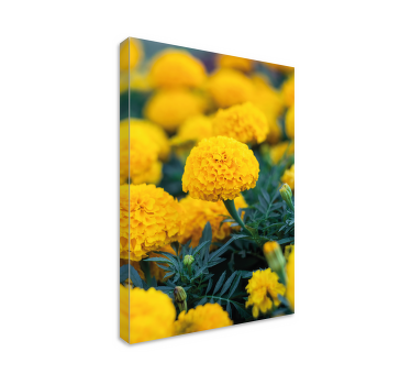 3d rama flores naranjas 3d lærredstryk - TenStickers