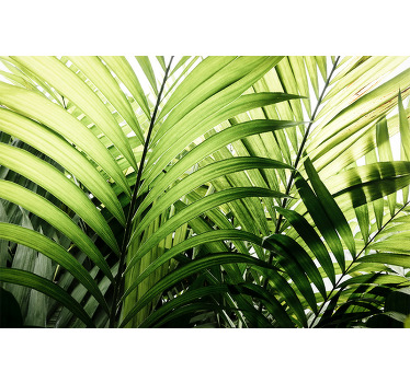 A set of jungle plant canvas wall art. This beautiful illustrative tropical leave canvas art is suitable to decorate any space in the home and office.