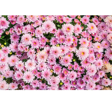 Pink flower canvas print which  features a lovely image of a field of pink flowers. Sign up for 10% off. High quality materials.