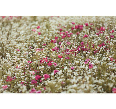 A field of poppy flower canvas wall art to enhance the look on your space in a lovely and cute way. It is original and durable.