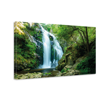Wandbild Baum Wasserfall im wald - TenStickers