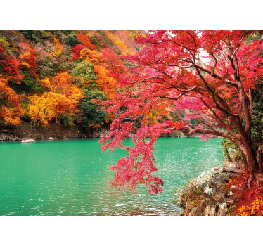 Time to create a lovely and colorful nature presence on your home with this forest lake with tree art canvas. Printed with high quality finish.