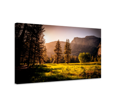 Quadro de paisage Mountain view sun grass - TenStickers
