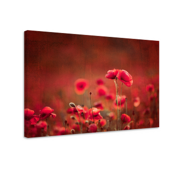 Poppy fields canvas wall art for master bedroom - TenStickers