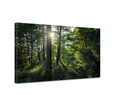 Tableau arbre de vie Arbres et forêt verte - TenStickers