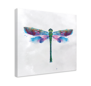 Valkoinen tausta sudenkorento canvas - Tenstickers