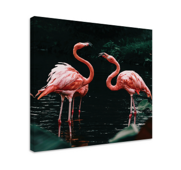 Cuadro animales Pareja de flamencos - TenVinilo