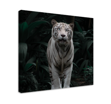 Wandbild Tier Weißer tiger - TenStickers