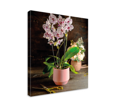 Quadro de flores arranjo de orquídeas - TenStickers