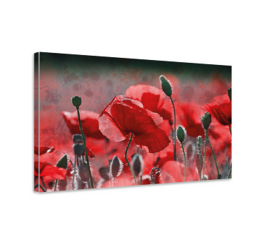 Leinwandbild Blume Rotes und grünes mohnfeld - TenStickers