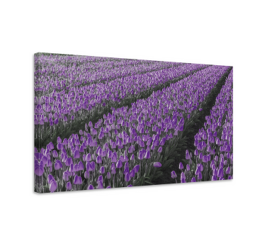 Cuadro de flores Campo de línea de tulipán - TenVinilo