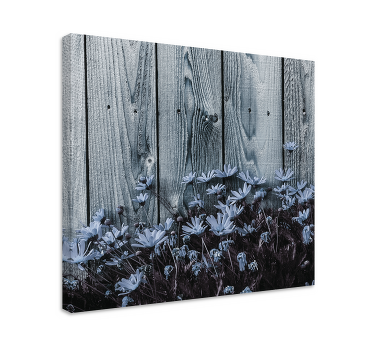 Leinwandbild Blume Gänseblümchenblume auf grauem holzbrett - TenStickers