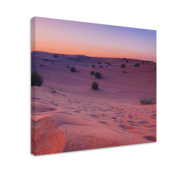 Quadro de paisage Deserto durante o pôr do sol - TenStickers