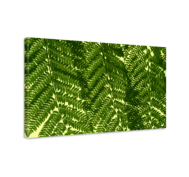Vihreä saniainen kasvi nordic canvas - Tenstickers