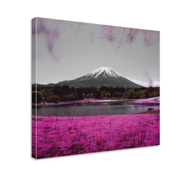 Lyserøde blomster felt i japan blomst lærred - TenStickers