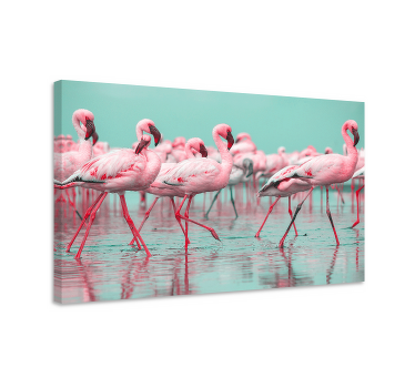 Obraz ze zwierzętami zgromadzenie flamingów - TenStickers
