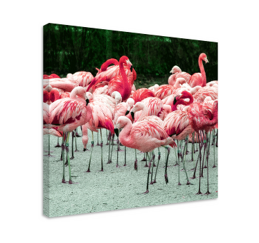 Wandbild Wohnzimmer Schöne flamingos auf dem Wasser - TenStickers