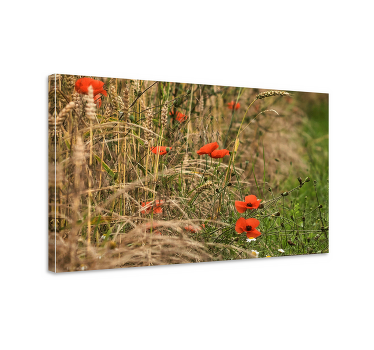 Quadro de flores campo de papoulas vibrante - TenStickers