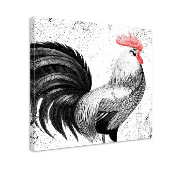 Leinwandbild Vogel Schwarzer und roter hahn - TenStickers