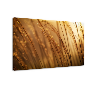 Leinwand Pflanzen Warmes pampasgras - TenStickers