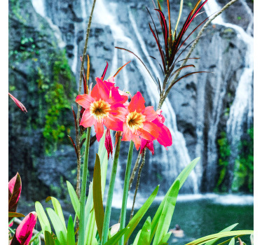 Tela de paisagem de cachoeira de flor rosa. Flores rosa e amarelas com fundo de cachoeira que ficarão bem. Envio imediato.