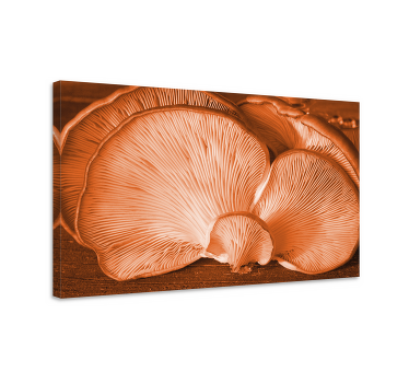 Orange wild mushrooms canvas art prints - TenStickers