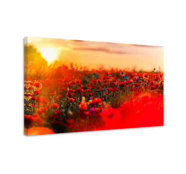 Färgglada fältfärger landskapcanvas tavla - Tenstickers