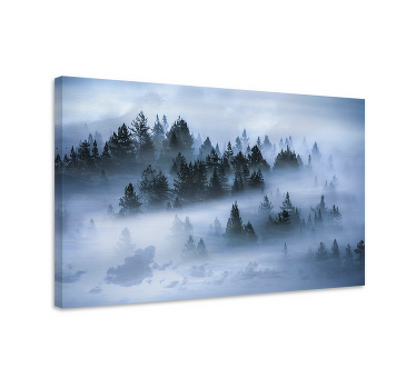 Cloudy pines aesthetic print landscape canvas - TenStickers
