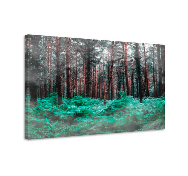 Cuadro paisajes Colores estéticos bosque verde y niebla - TenVinilo