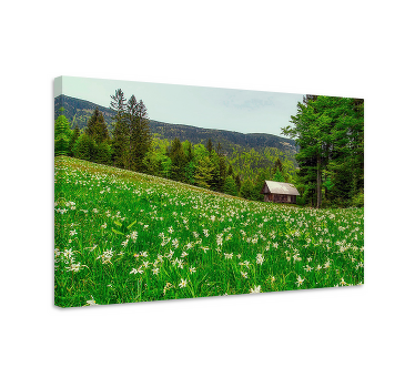 Cuadro paisajes Paisaje estilo cottagecore - TenVinilo