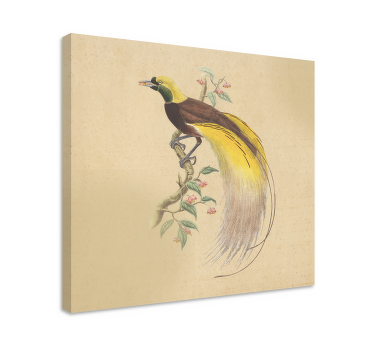 Exotic Perched bird canvas wall art - TenStickers