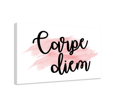 Cuadro frase motivadora Arte de pintura rosa carpe diem - TenVinilo