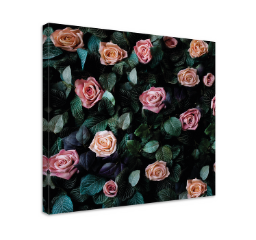Leinwandbild Blume Rote rosenblüten - TenStickers