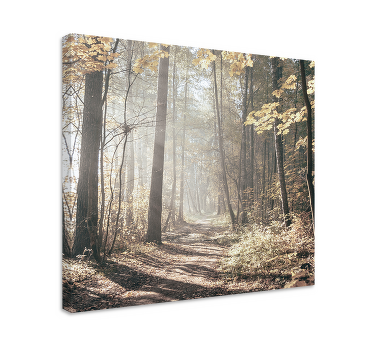 Tableau arbre de vie Soleil "nature" en forêt - TenStickers