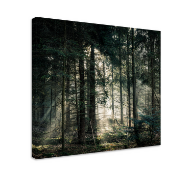 Quadro de árvores Floresta natural com tons escuros - TenStickers