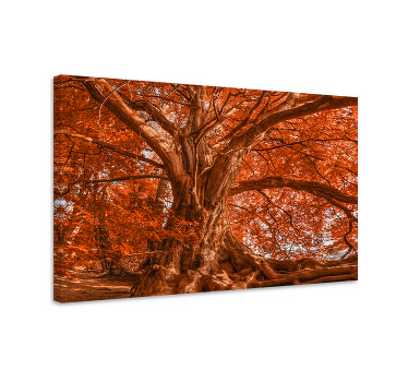 큰 아름다운 가을 나무 풍경 캔버스 - TenStickers