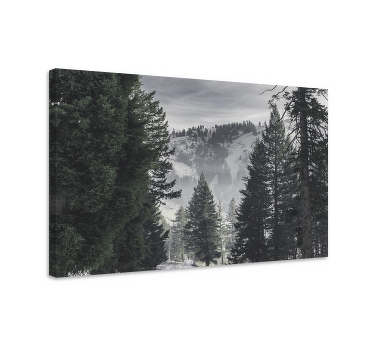 Mountain green forest landscape canvas - TenStickers